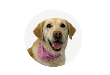 Macy
