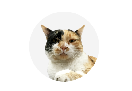 Cipuri
